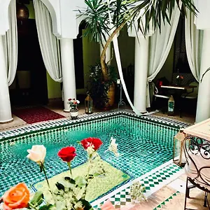 Alida *** Marrakesh